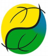 TradingXBrasil